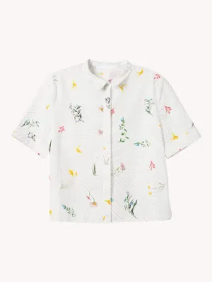 Ray Blouse