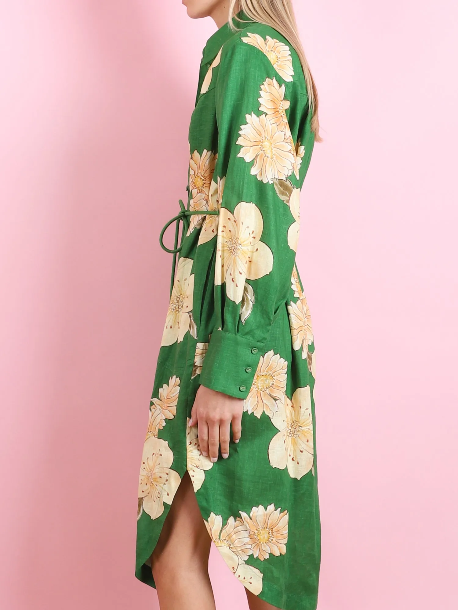 Sage Shirtdress