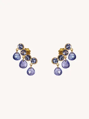 Tanzanite Briolette Pendeloque Earrings